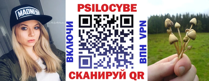 Псилоцибиновые грибы Cubensis  магазин продажи   мориарти как зайти  Балей 